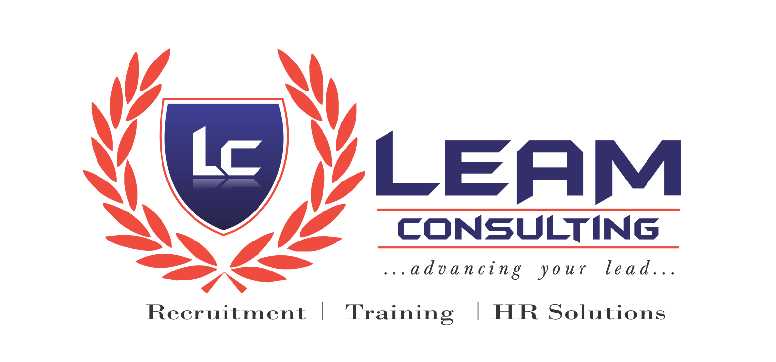 LEAM Consulting E-Learning Portal